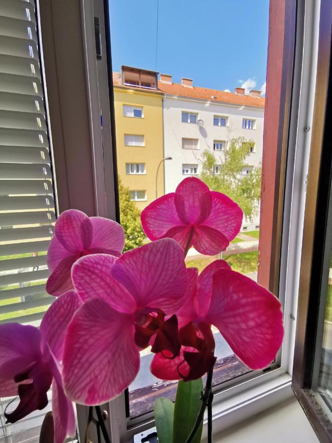 Apartma Mb-Center Maribor Exterior photo
